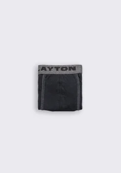Boxer basic