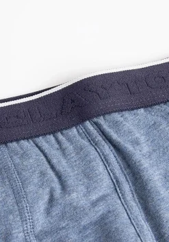 Boxer basic