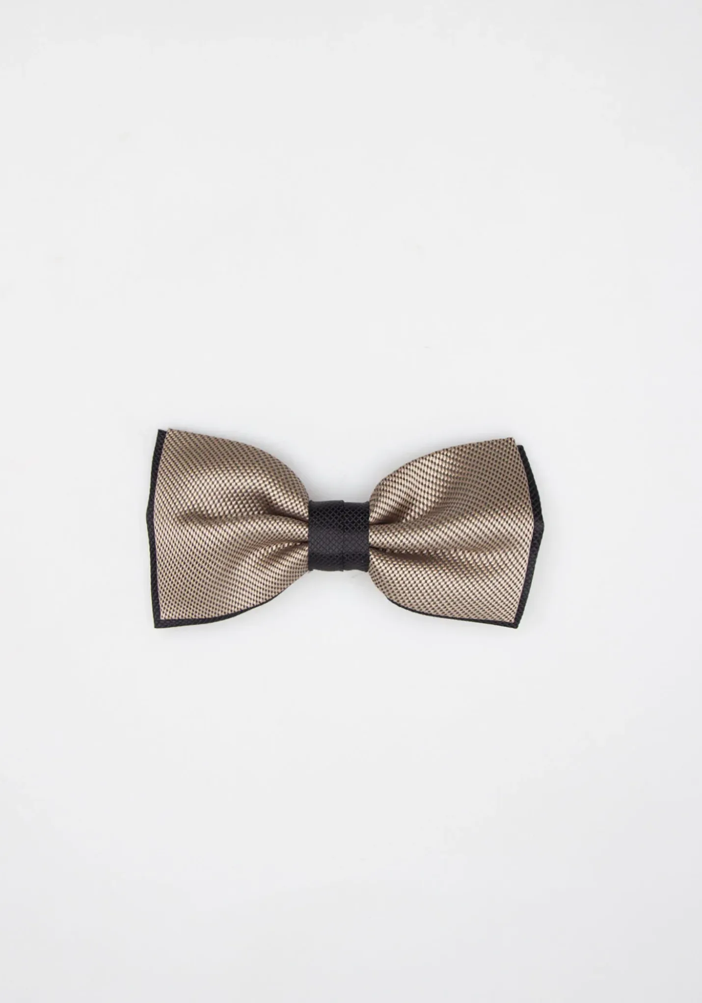 Papillon fantasia