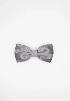 Papillon fantasia