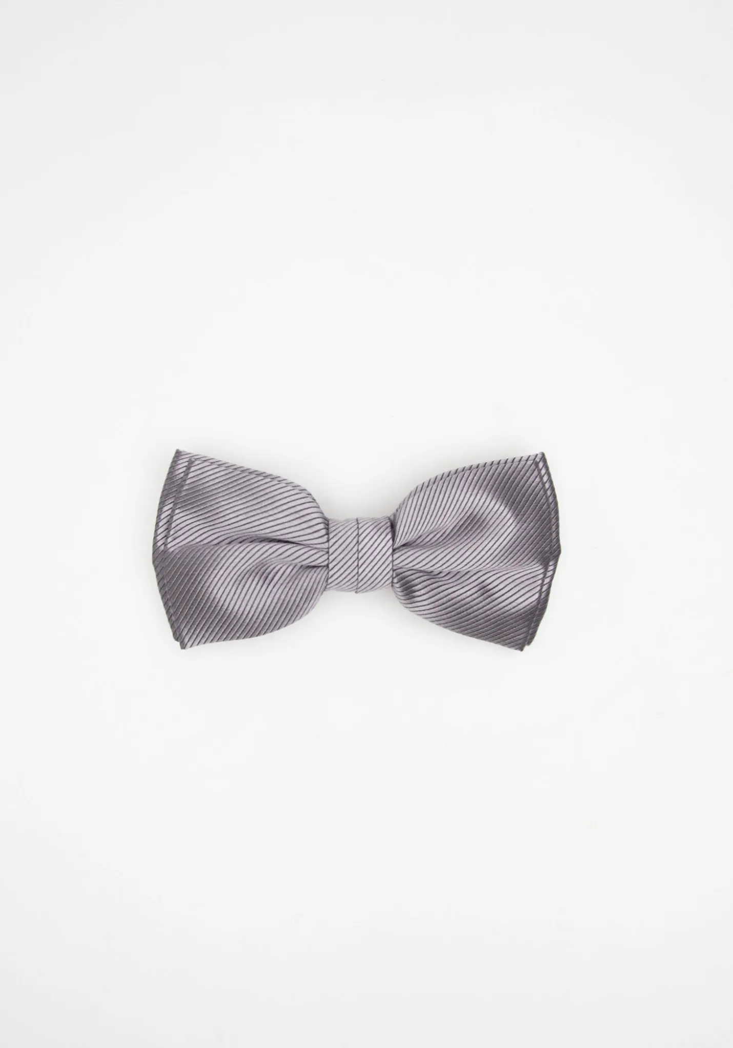 Papillon fantasia