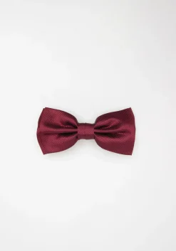 Papillon fantasia