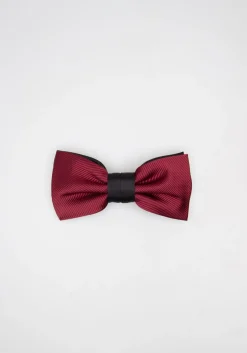 Papillon fantasia