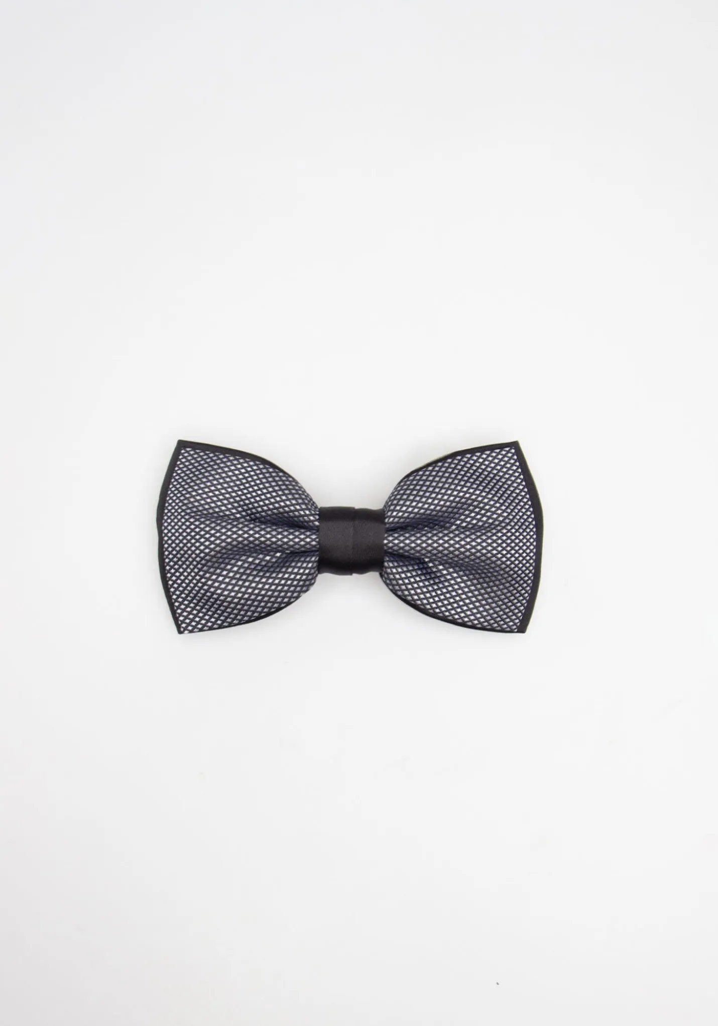 Papillon fantasia