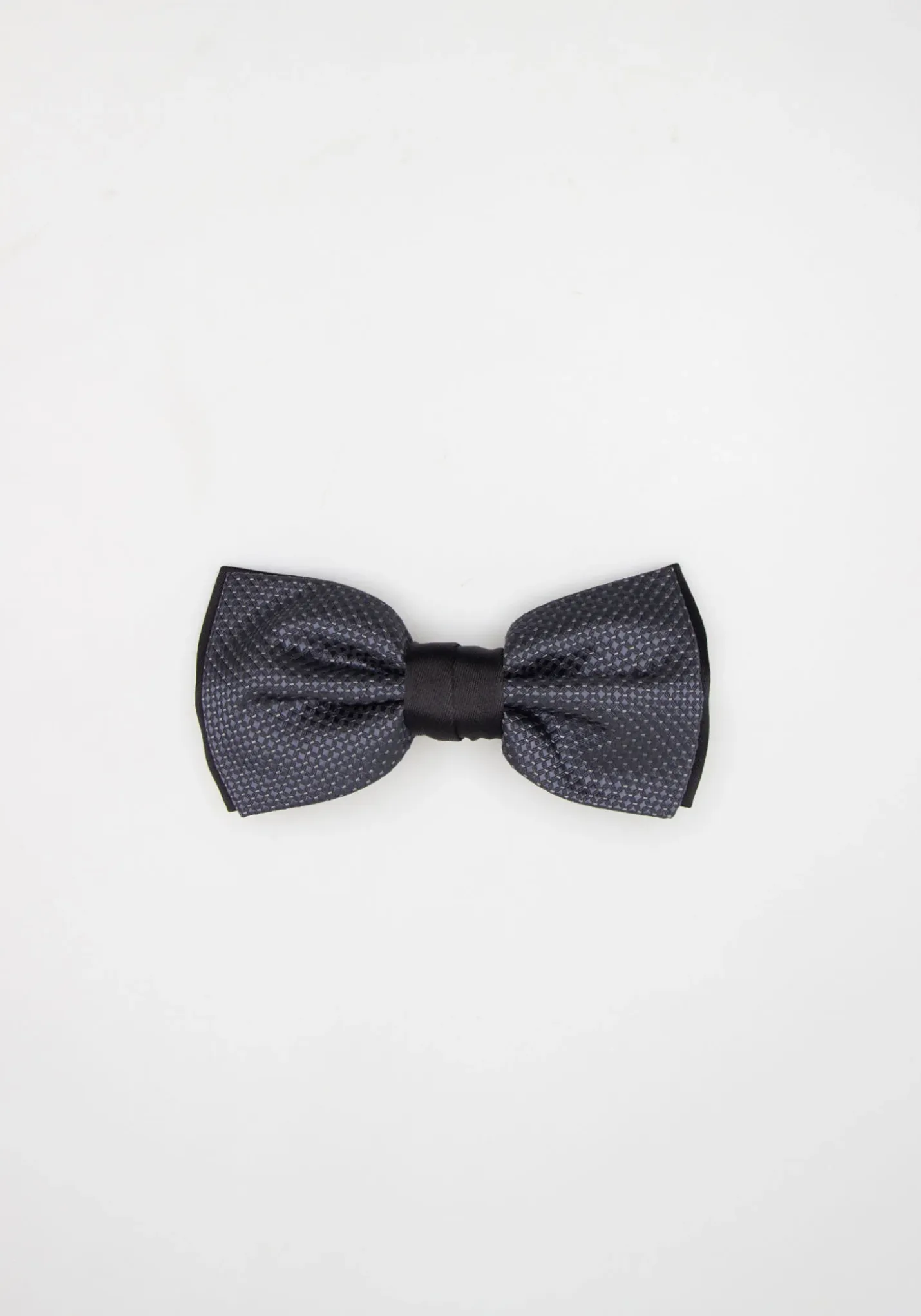 Papillon fantasia