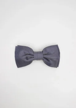 Papillon fantasia