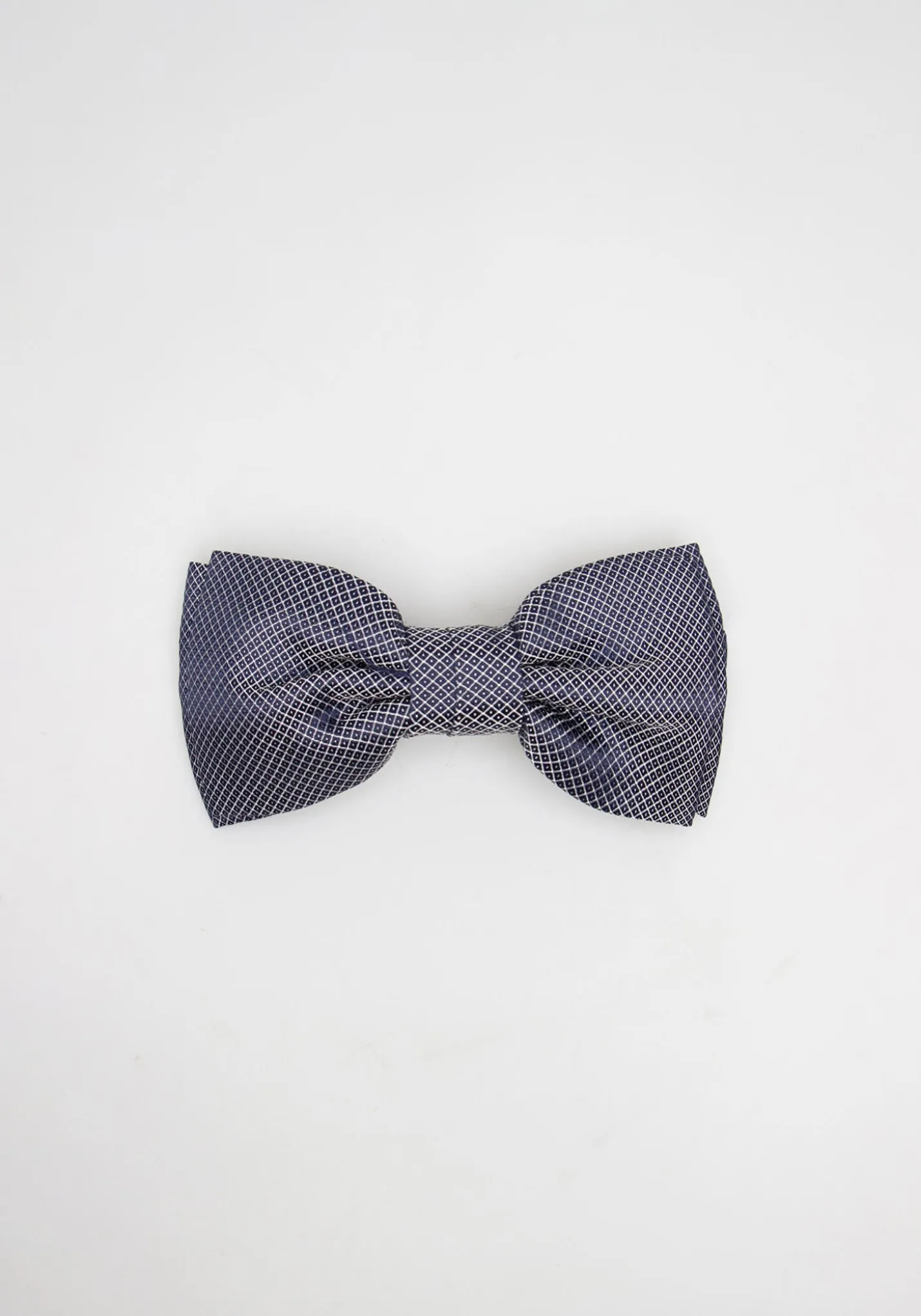 Papillon fantasia