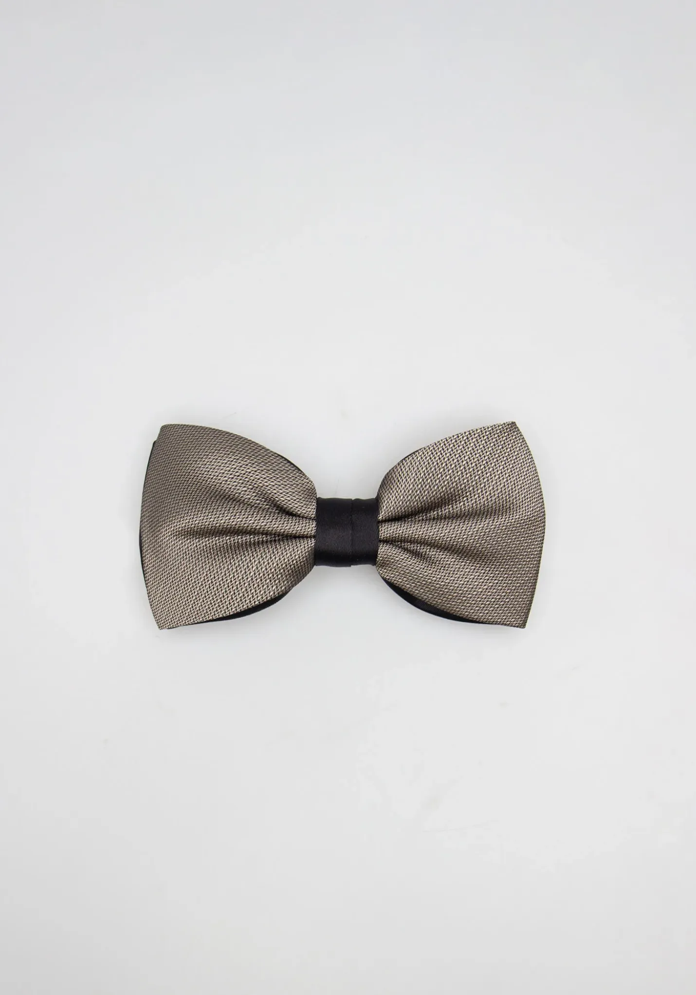 Papillon fantasia