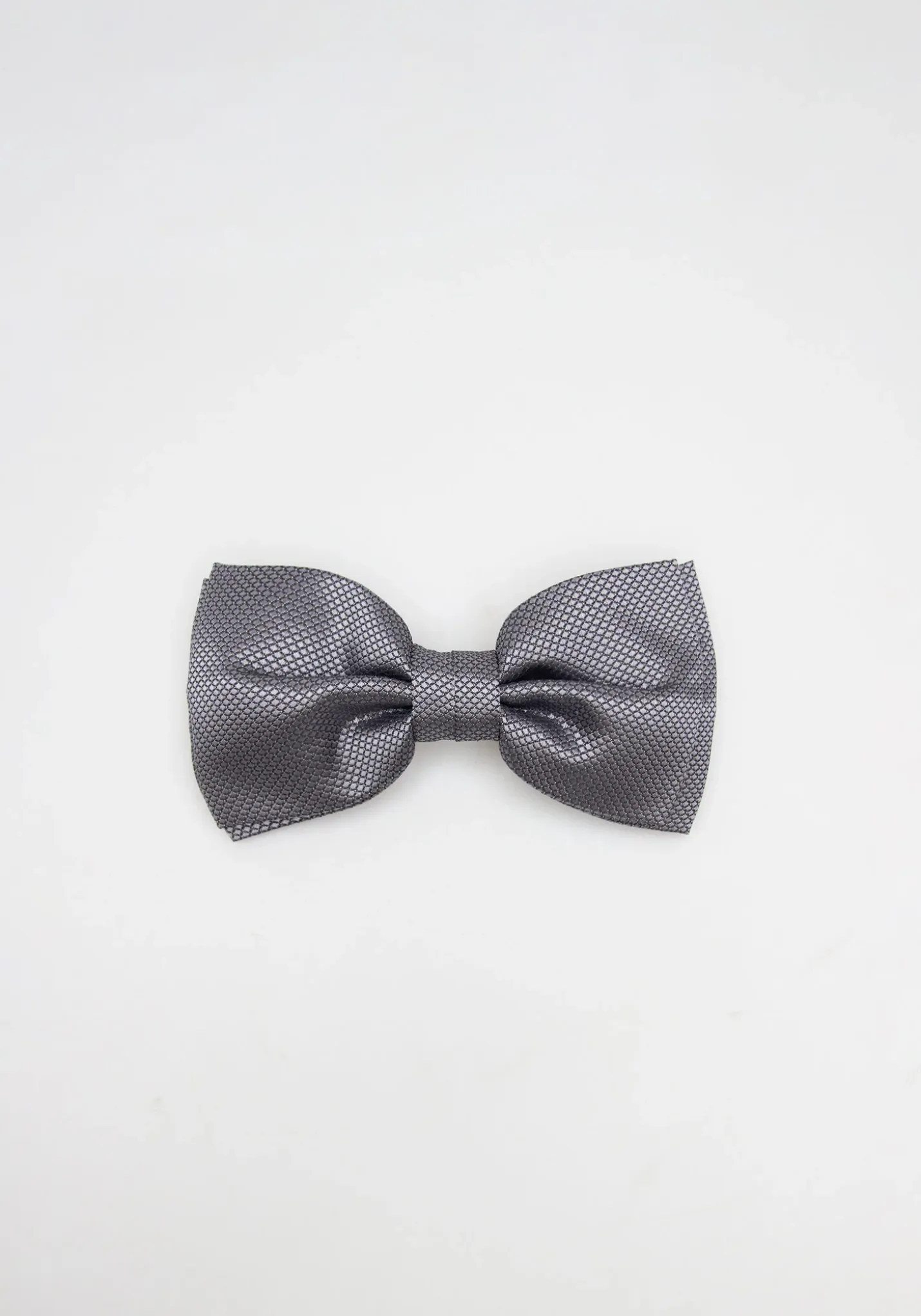 Papillon fantasia