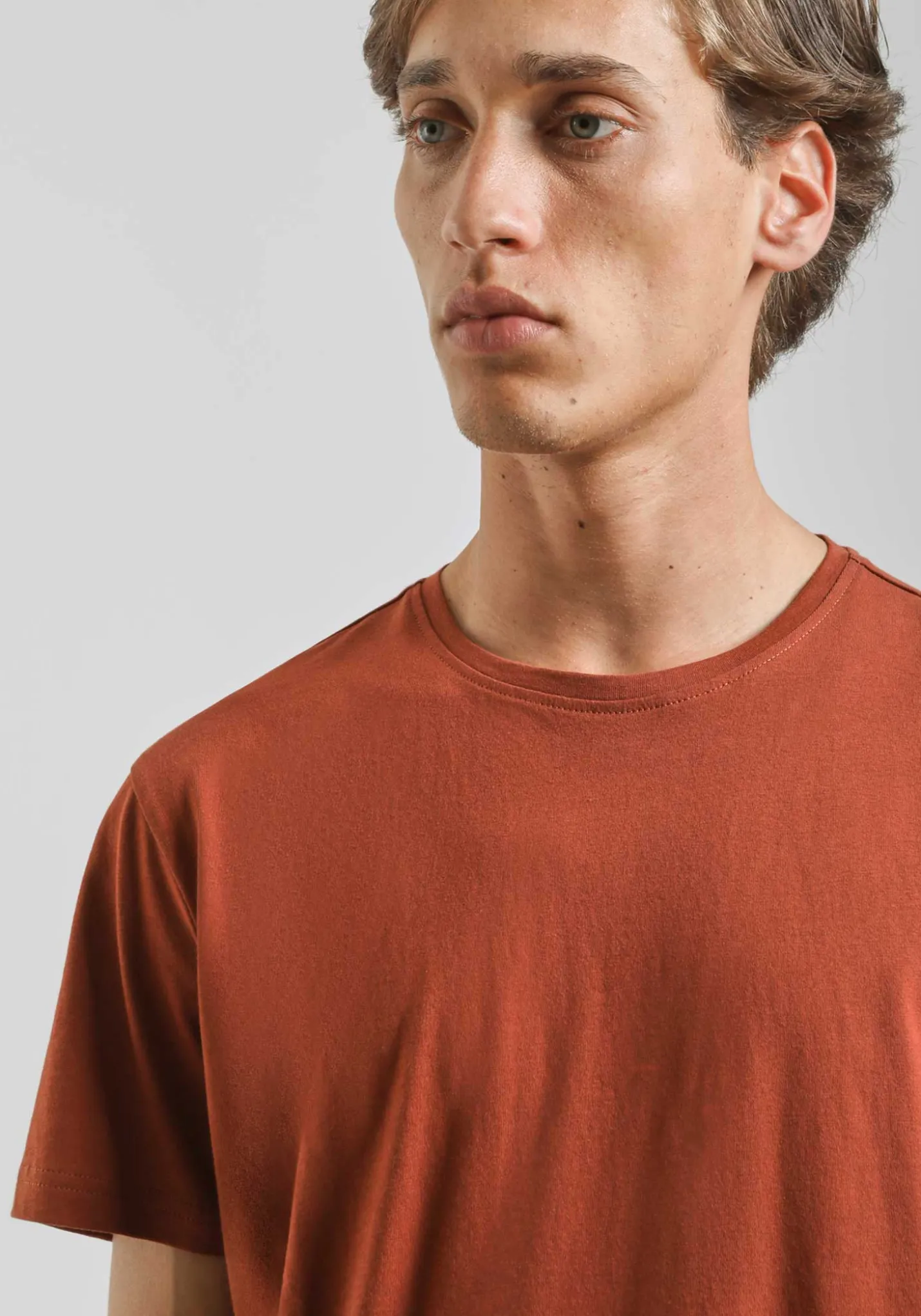 T-shirt basic 100% cotone