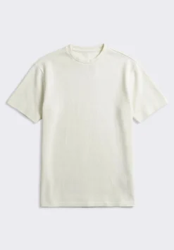 T-shirt 100% cotone