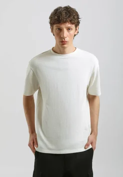 T-shirt 100% cotone