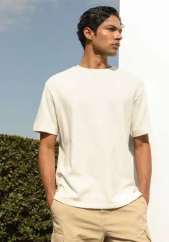 T-shirt 100% cotone