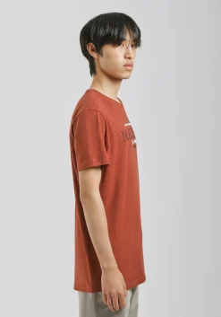 T-shirt 100% cotone con stampa